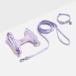 Cat Harness & Leash + Collar Kit