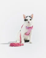 Cat Harness & Leash - Image 3