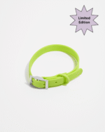 Waterproof Dog Collar - Image 27