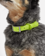 Waterproof Dog Collar - Image 29