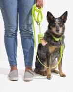 Waterproof Dog Collar - Image 31
