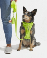 Waterproof Dog Leash - Image 28