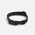 Quick-Release Dog Collar