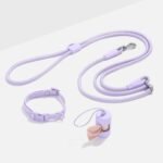 Quick-Release Collar + Hands-Free Rope Leash Walk Kit