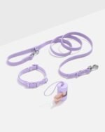 Quick-Release Collar + Waterproof Leash Walk Kit - Image 2