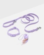 Quick-Release Collar + Waterproof Leash Walk Kit - Image 2