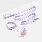 Waterproof Collar + Lightweight Leash Walk Kit