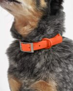 Waterproof Dog Collar - Image 83