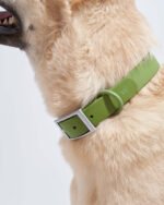 Waterproof Dog Collar - Image 80