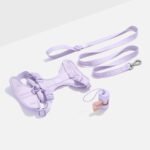 Cushioned Harness + Lightweight Leash Walk Kit