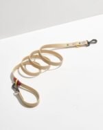 Waterproof Dog Leash - Image 5
