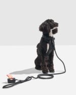 Hands-Free Rope Dog Leash - Image 21