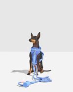 Hands-Free Rope Dog Leash - Image 15