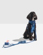 Hands-Free Rope Dog Leash - Image 19