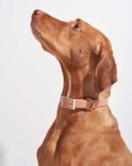 Waterproof Dog Collar - Image 46