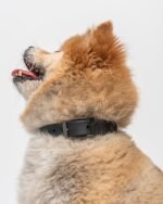 Waterproof Dog Collar - Image 64