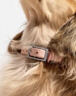Waterproof Dog Collar - Image 57