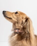 Waterproof Dog Collar - Image 54