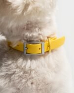 Waterproof Dog Collar - Image 77