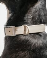 Waterproof Dog Collar - Image 70