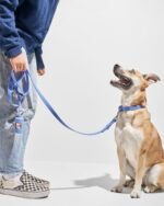 Waterproof Dog Collar - Image 25
