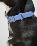 Waterproof Dog Collar - Image 8