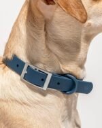 Waterproof Dog Collar - Image 42