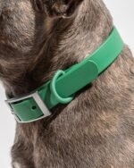 Waterproof Dog Collar - Image 38