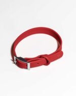 Waterproof Dog Collar - Image 32