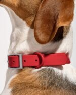 Waterproof Dog Collar - Image 35