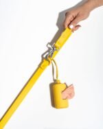 Waterproof Dog Leash - Image 41