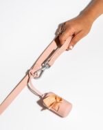 Waterproof Dog Leash - Image 47