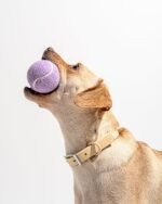 Tennis Balls 4-Pack - Image 10