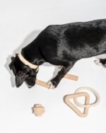 Dog Toy Kit - Image 38