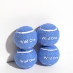 Tennis Balls 4-Pack