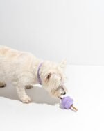 Twist Toss - Image 13