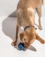 Twist Toss - Image 23