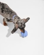 Twist Toss - Image 3