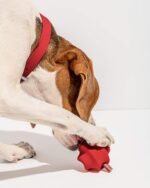 Twist Toss - Image 18