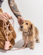 Waterproof Dog Collar - Image 56