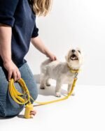 Waterproof Dog Collar - Image 76