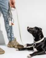 Waterproof Dog Collar - Image 72