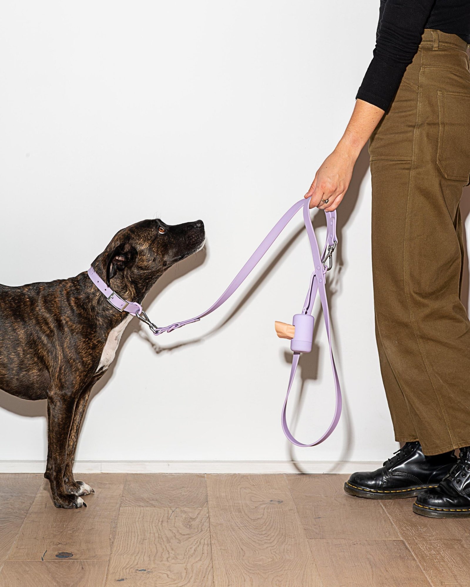 Waterproof Dog Collar - Image 52