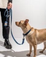 Waterproof Dog Collar - Image 44