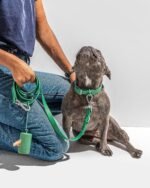Waterproof Dog Leash - Image 52