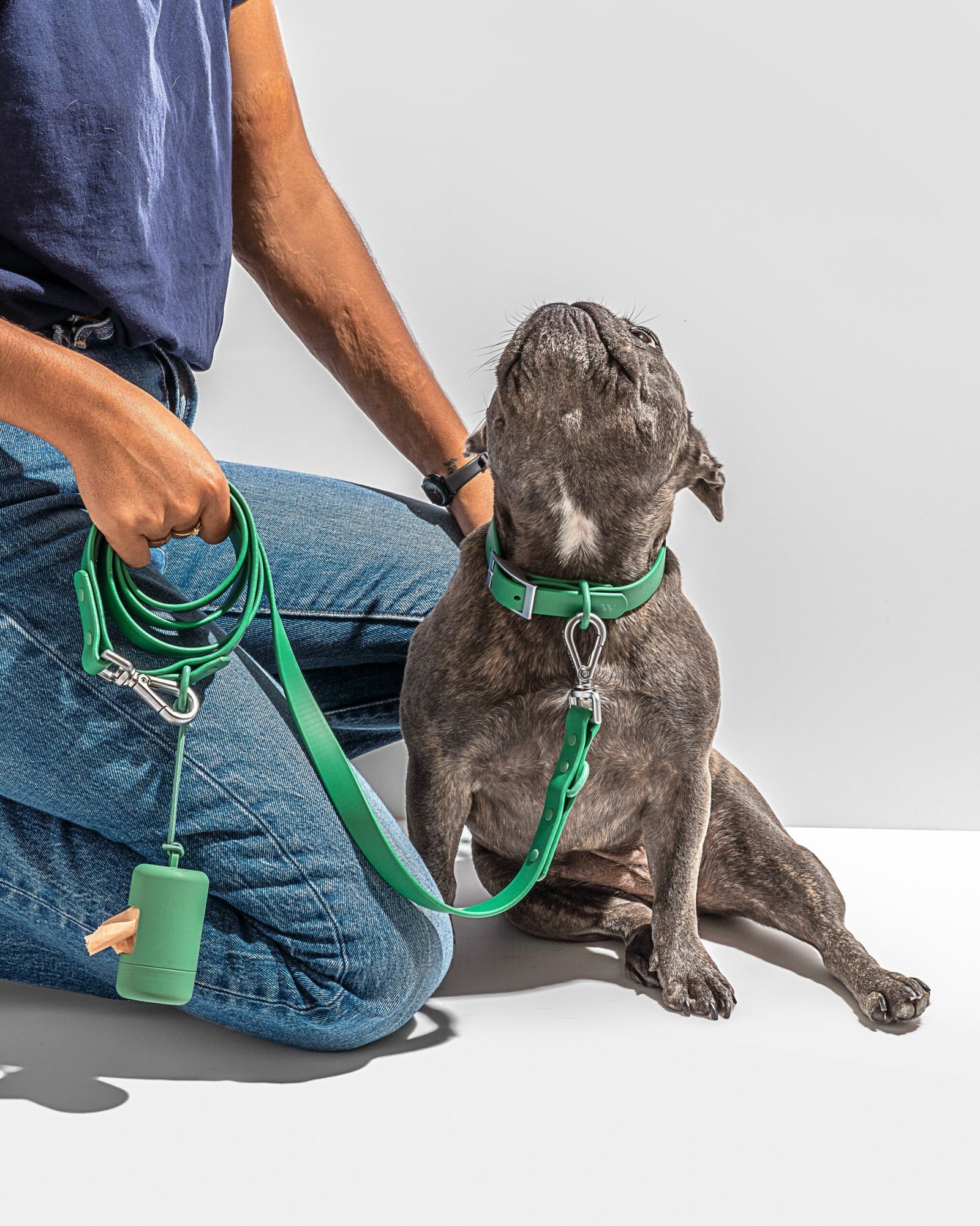 Waterproof Dog Collar - Image 39