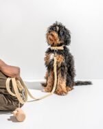 Waterproof Dog Collar - Image 61