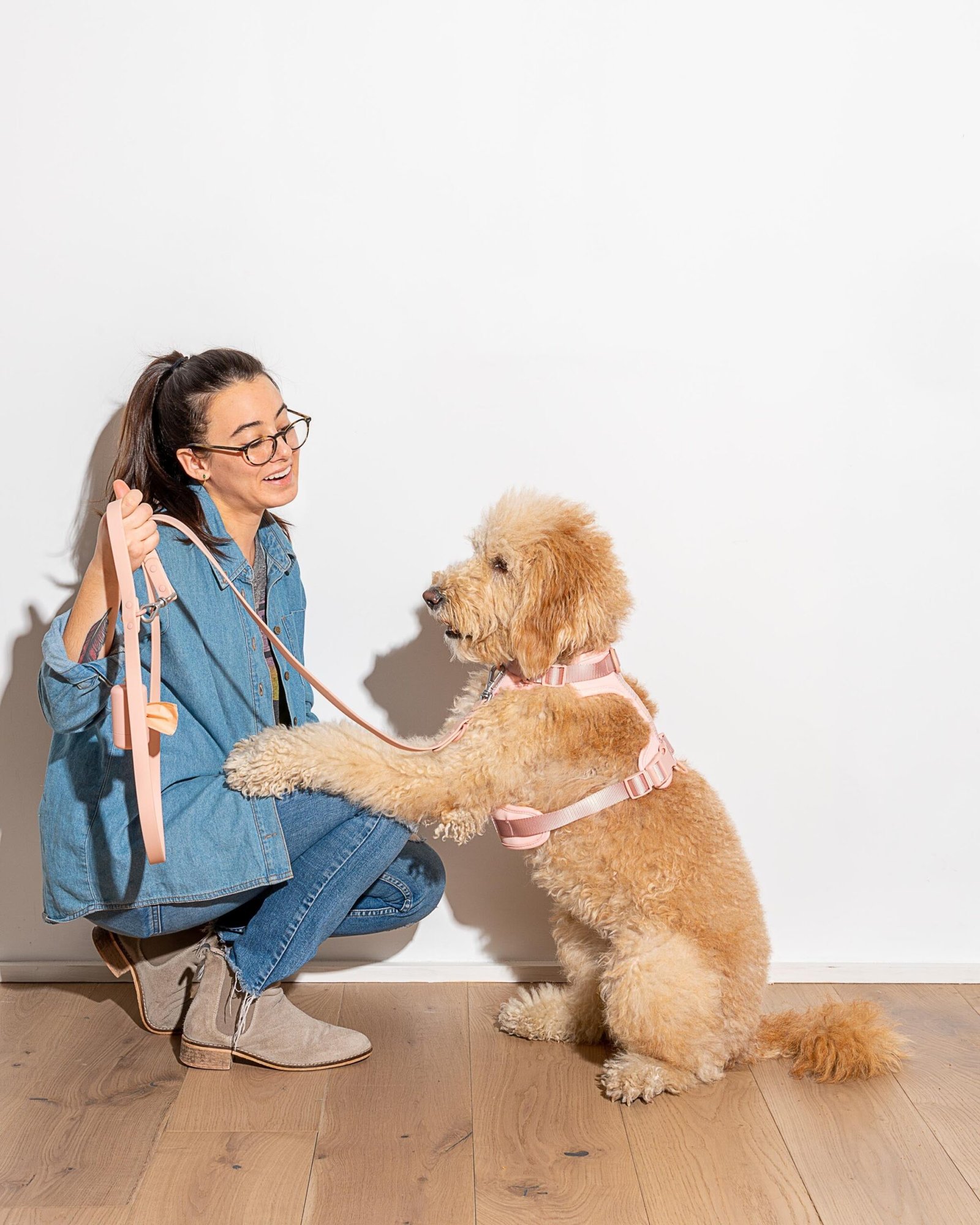 Waterproof Dog Leash - Image 45