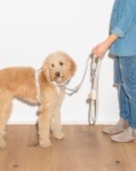 Waterproof Dog Leash - Image 64