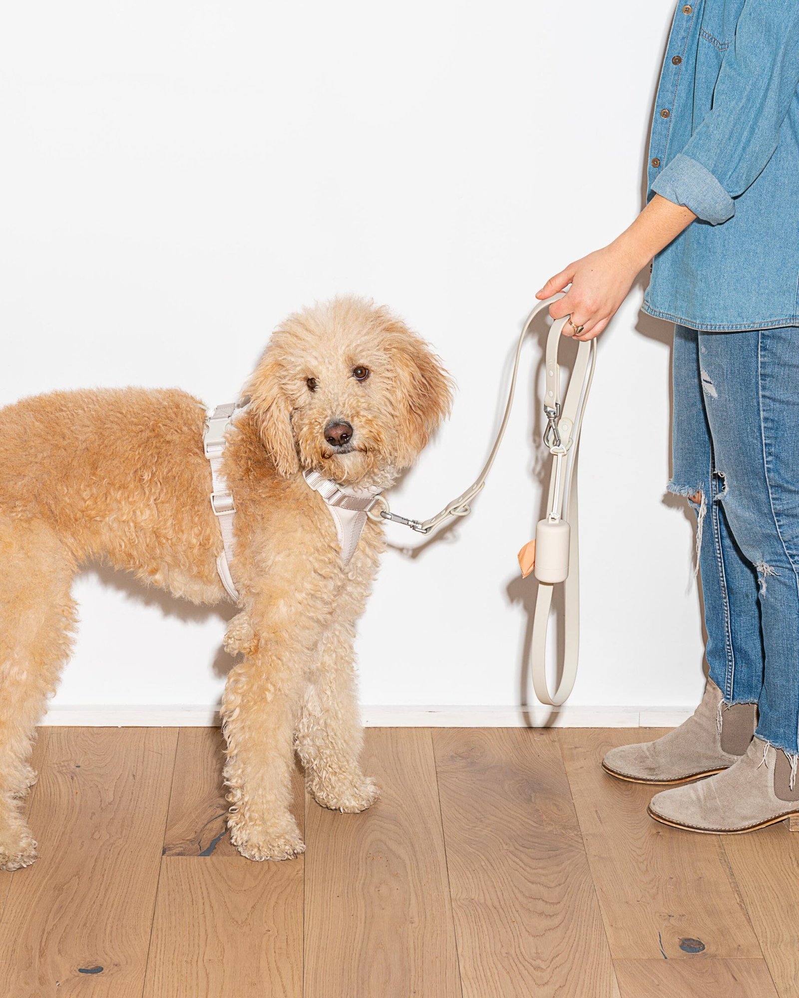 Waterproof Dog Leash - Image 64